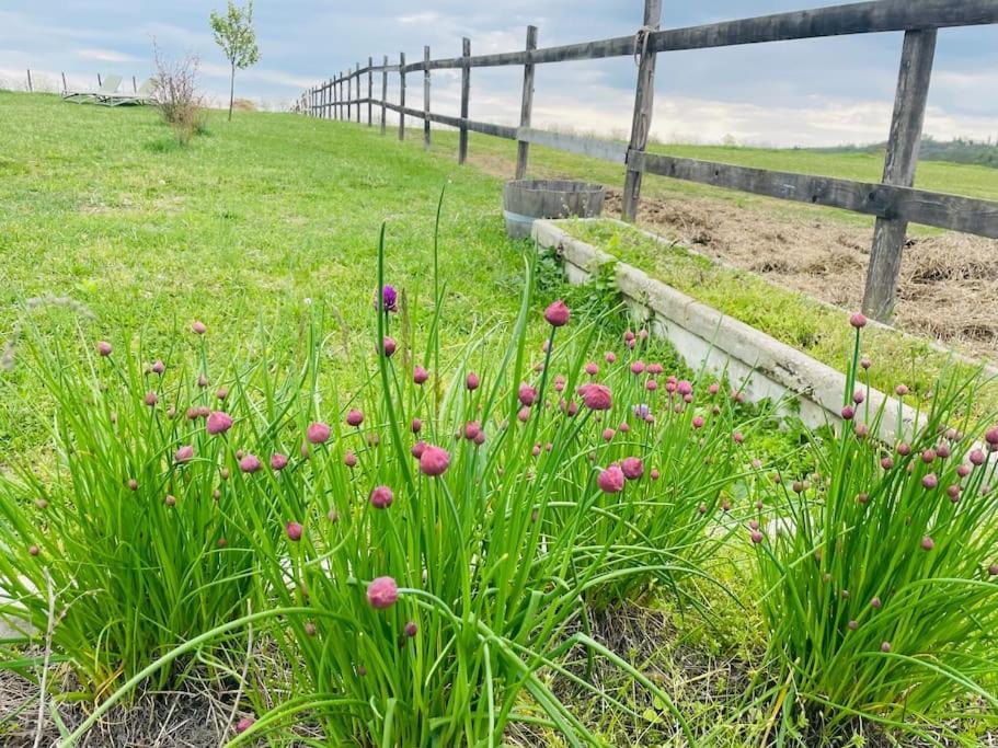 Nyaraló Mimi Vendeghaz Balatonlelle